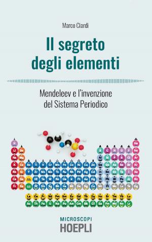 Cover of the book Il segreto degli elementi by Paolo Iabichino, Stefano Gnasso