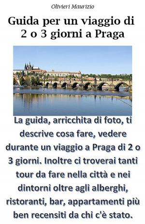 Book cover of Guida Viaggio a Praga di 2 o 3 giorni