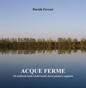 Book cover of Acque ferme