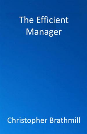 Book cover of The Efficient Manager