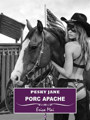 Book cover of Pesky Jane Porc Apache: Vol. 6