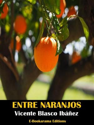 Book cover of Entre naranjos