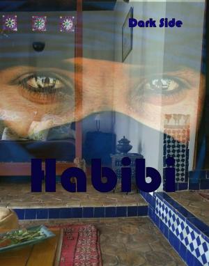 Book cover of Omofonia - Habibi