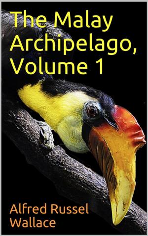 Cover of the book The Malay Archipelago, Volume 1 by Alberto Blest Gana