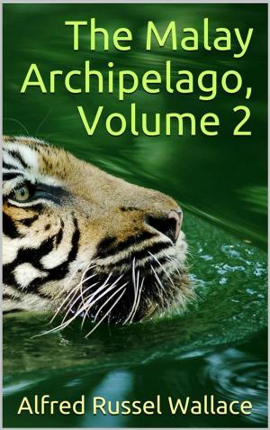 Cover of the book The Malay Archipelago, Volume 2 by Dante Alighieri