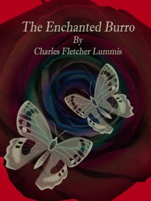 Book cover of The Enchanted Burro