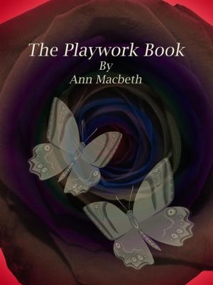 Book cover of The Playwork Book
