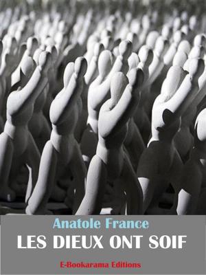 Cover of the book Les Dieux ont soif by Daniel Defoe