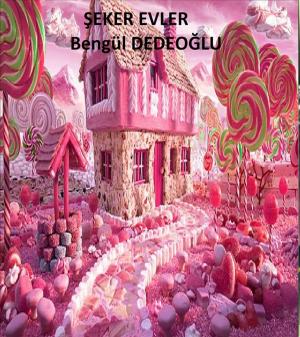 bigCover of the book Şeker EVLER by 