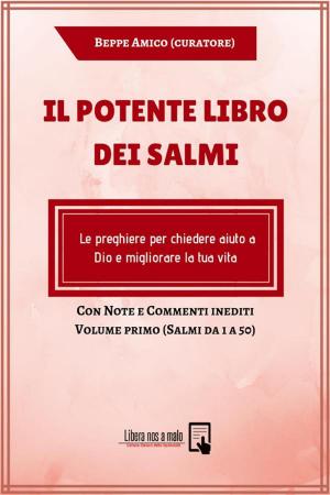 Cover of the book Il potente Libro dei Salmi - Le preghiere per chiedere aiuto a Dio e migliorare la tua vita by Beppe Amico
