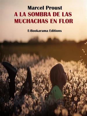 Cover of the book A la sombra de las muchachas en flor by Emilio Salgari