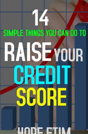 Book cover of 14 Simple Things you can do to Raise Your Credit Score