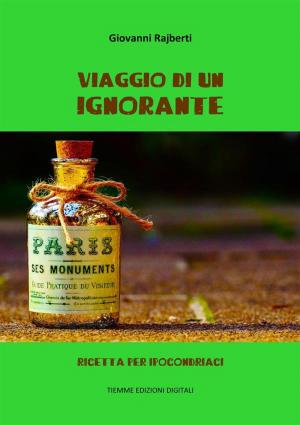 Cover of the book Viaggio di un ignorante by Anonimo X Secolo