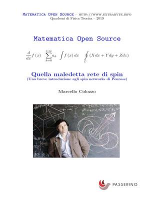 Cover of the book Quella maledetta rete di spin by Passerino Editore