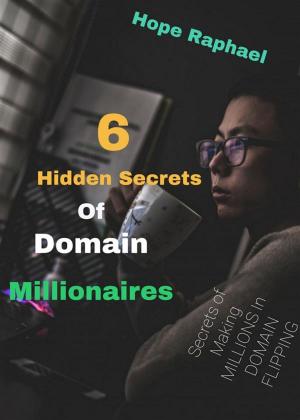 Cover of the book 6 Hidden Secrets Of Domain Millionaires by Hope Etim