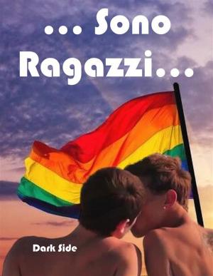 Book cover of Omofonia - Sono Ragazzi ...