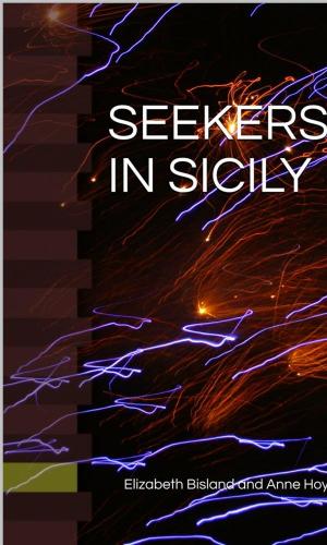 Cover of the book Seekers In Sicily by B K Buis