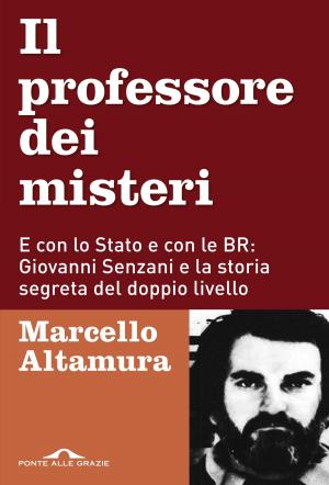 Cover of the book Il professore dei misteri by Marco  Olmo