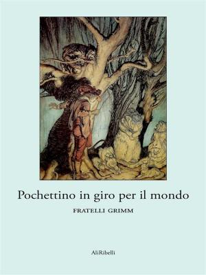 Cover of the book Pochettino in giro per il mondo by Laura E. Richards