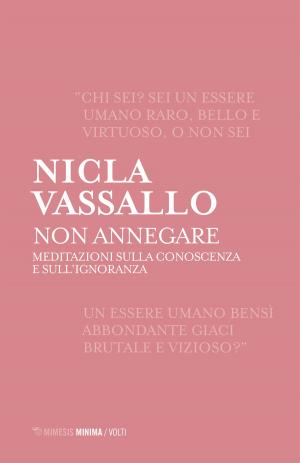 Cover of the book Non annegare by Giuseppe Cognetti