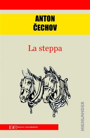 Cover of the book La steppa by Fedor Dostoevskij