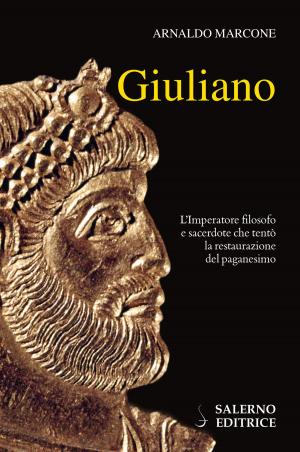 Cover of the book Giuliano by Domitilla Savignoni, Matteo Bressan