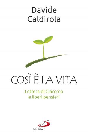 Cover of the book Così è la vita by Gianfranco Ravasi