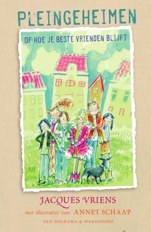 Cover of the book Pleingeheimen by Vivian den Hollander