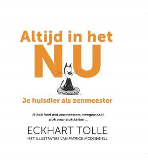 Cover of the book Altijd in het nu by Adam Sandel