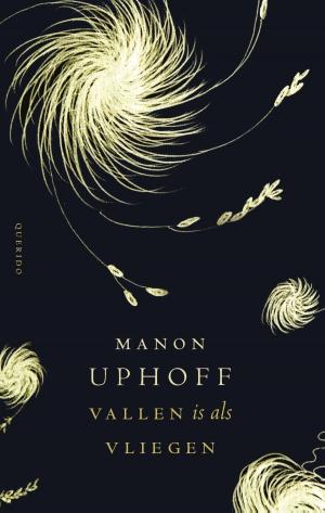 Cover of the book Vallen is als vliegen by Michel Houellebecq