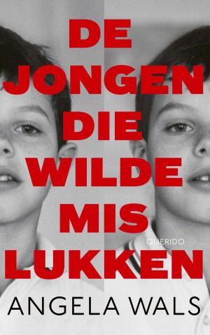 Cover of the book De jongen die wilde mislukken by Marion Bloem