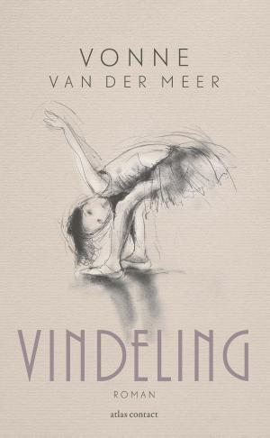 Cover of the book Vindeling by Naomi Alderman