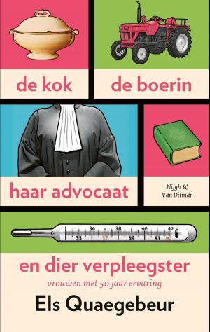 Cover of the book De kok, de boerin, haar advocaat en dier verpleegster by Hanneke Hendrix