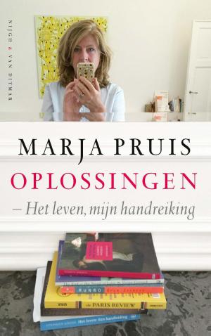 Cover of the book Oplossingen by Delphine de Vigan