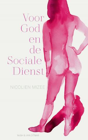 Book cover of Voor God en de Sociale Dienst