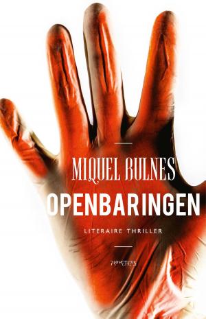 Cover of the book Openbaringen by Carl Frode Tiller