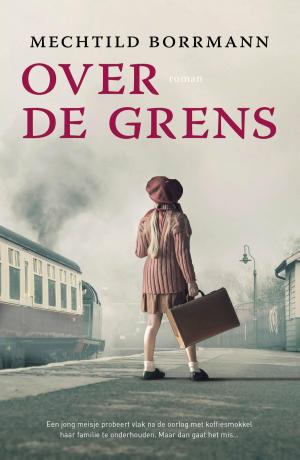 Cover of the book Over de grens by Åke Edwardson