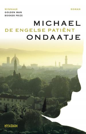 Cover of the book De Engelse patient by Thijs Zonneveld