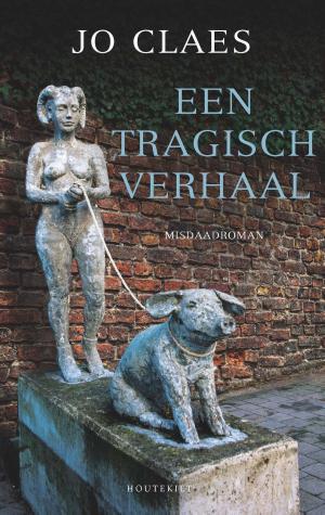 Cover of the book Een tragisch verhaal by Michael Penhallow