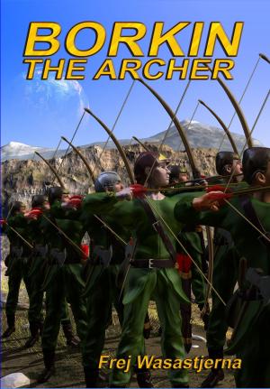 Book cover of Borkin the Archer