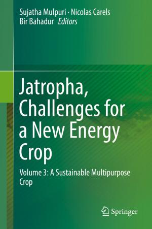 Cover of the book Jatropha, Challenges for a New Energy Crop by Yasuyuki Sawada, Michiko Ueda, Tetsuya Matsubayashi