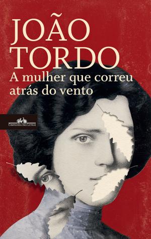 Cover of the book A mulher que correu atrás do vento by Afonso Cruz