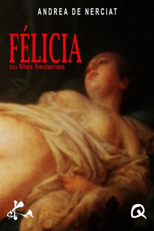 Cover of the book Félicia ou Mes fredaines by Jan Thirion