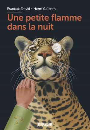 Cover of the book Une petite flamme dans la nuit by Marie Aubinais
