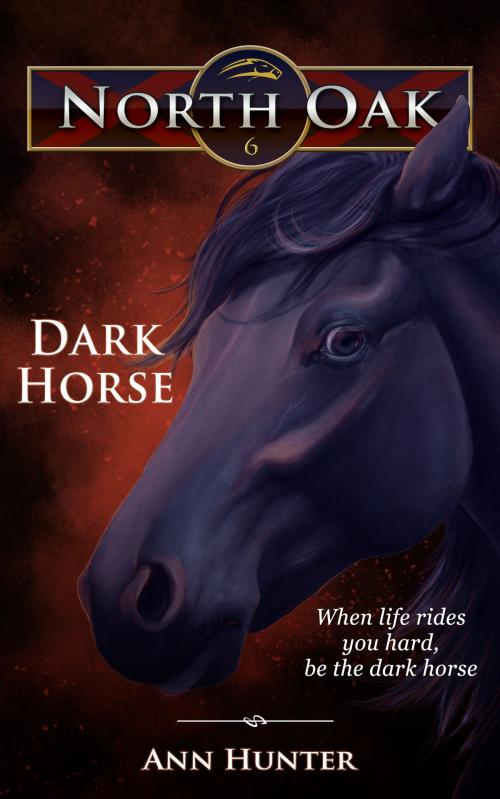Cover of the book Dark Horse by Ann Hunter, Aisling House, LLC