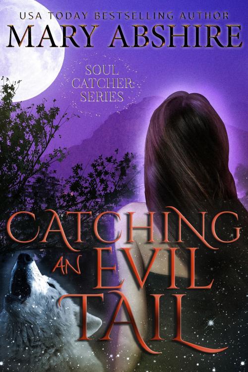 Cover of the book Catching an Evil Tail by Mary Abshire, Mary Abshire