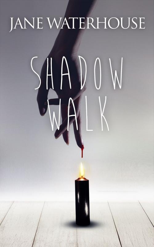 Cover of the book Shadow Walk by Jane Waterhouse, Brash Books