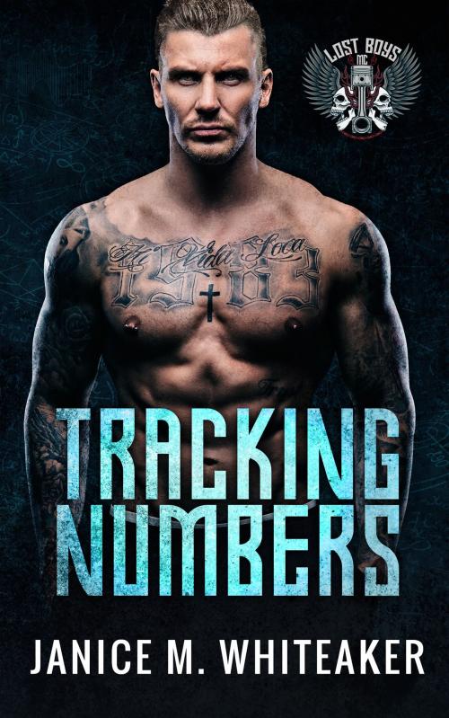 Cover of the book Tracking Numbers by Janice M. Whiteaker, Janice M. Whiteaker