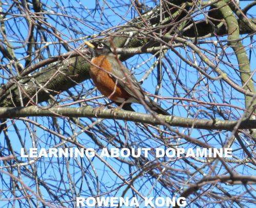 Cover of the book Learning About Dopamine by Rowena Kong, Rowena Kong