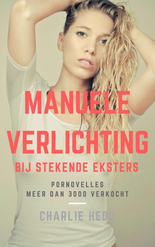 Cover of the book Manuele Verlichting bij Stekende Eksters by Charlie Hedo, S Comics